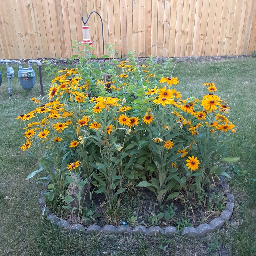 Meet your Posher, Marie